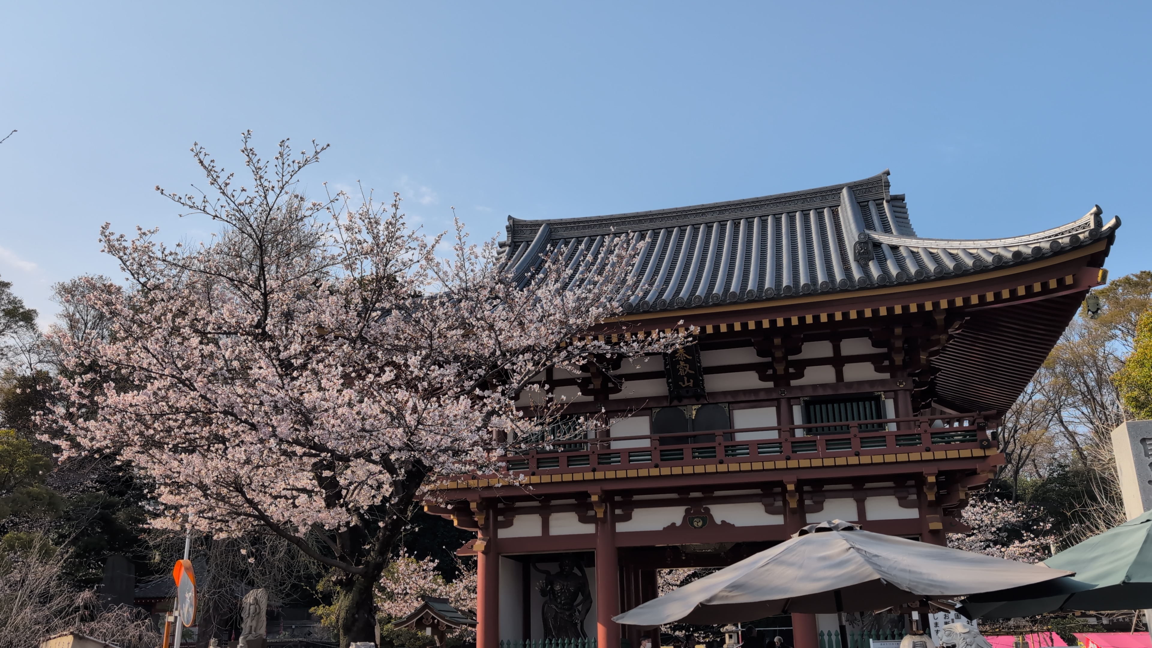 Pilgrimage photo 5